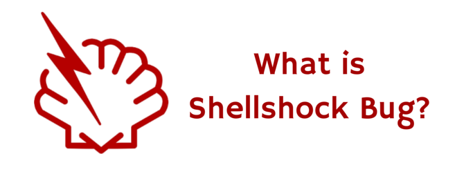 About the Shellshock Vulnerability: The Basics of the “Bash Bug