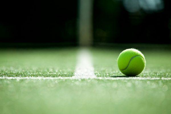 A Wimbledon tennis ball rests on the grassy court, positioned near a white line, with a blurred background highlighting the green surface and sunlight casting a soft glow—an idyllic scene reminiscent of classic Wimbledon moments.