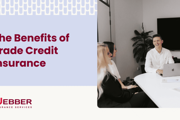 The Benefits of Trade Credit Insurance